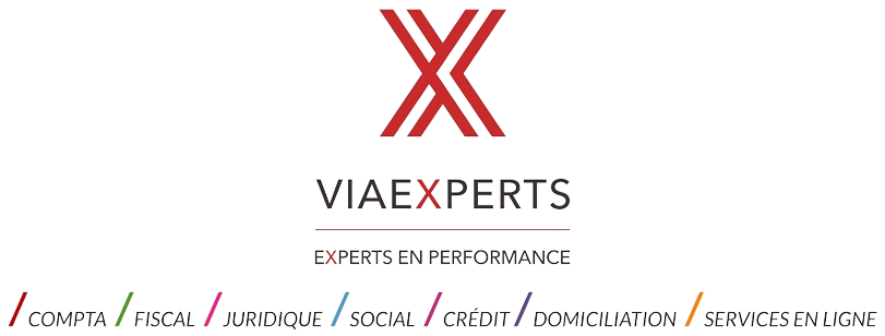 Logo Via Experts.